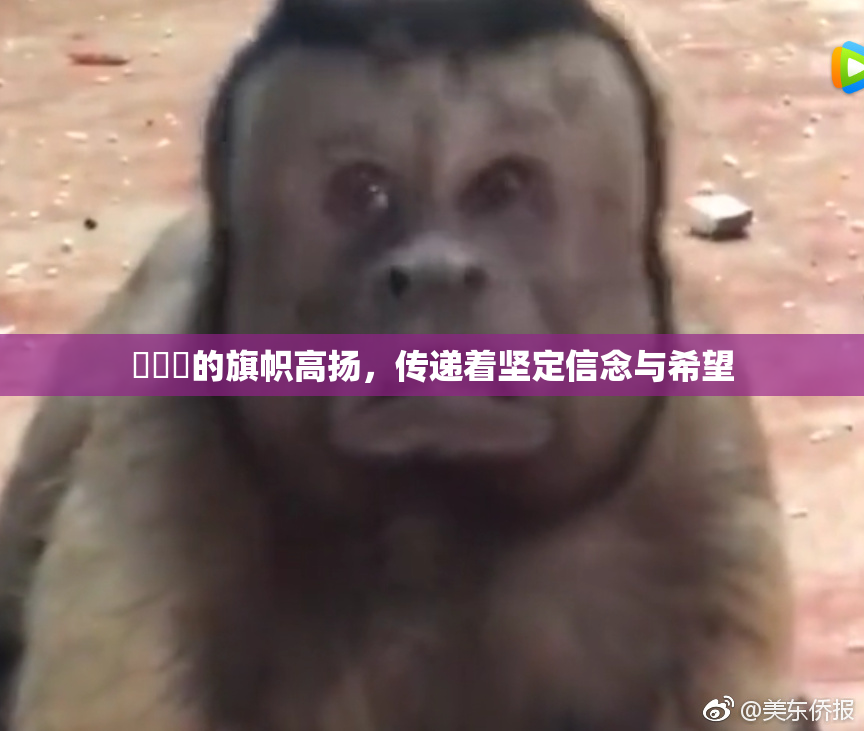 逹葢薾的旗帜高扬，传递着坚定信念与希望