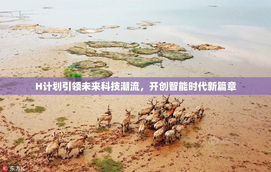 H计划引领未来科技潮流，开创智能时代新篇章