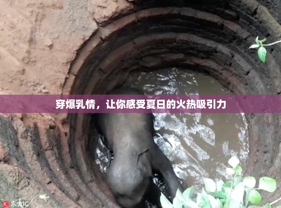 穿爆乳情，让你感受夏日的火热吸引力