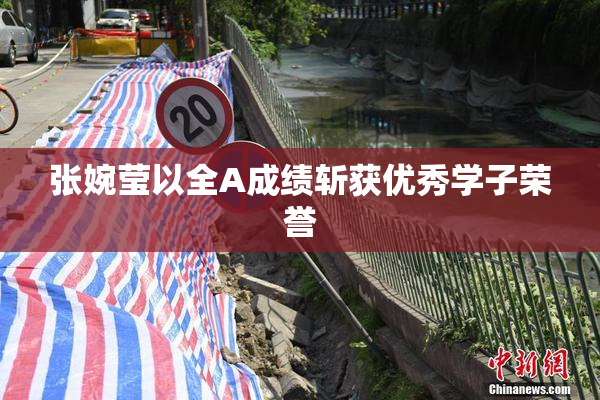张婉莹以全A成绩斩获优秀学子荣誉