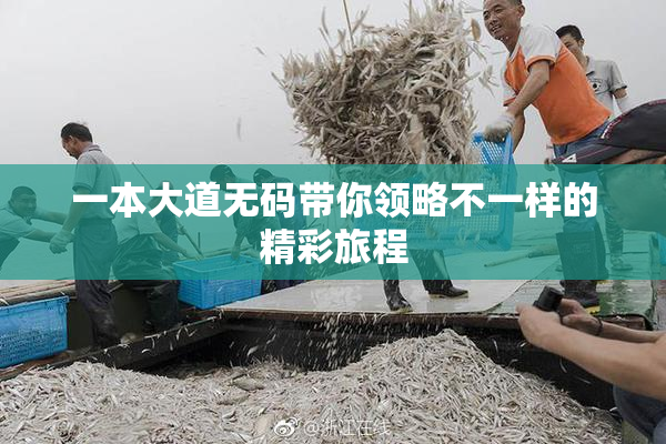 一本大道无码带你领略不一样的精彩旅程