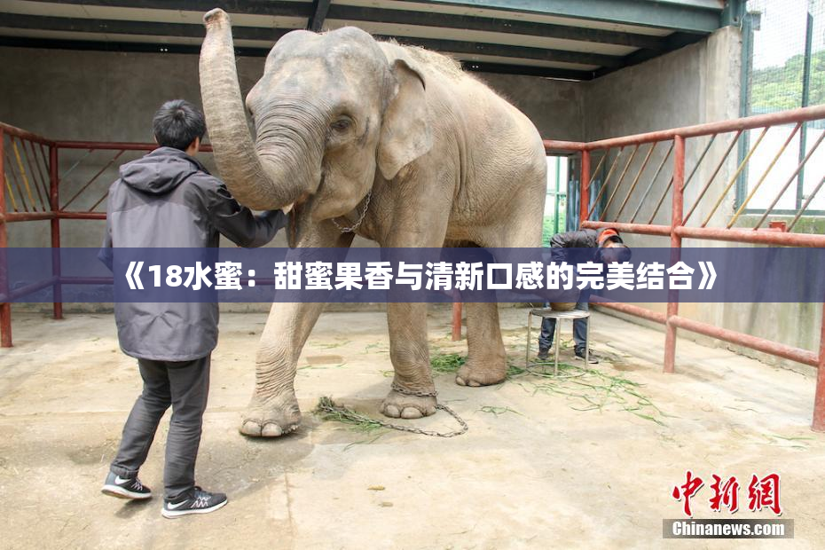 《18水蜜：甜蜜果香与清新口感的完美结合》