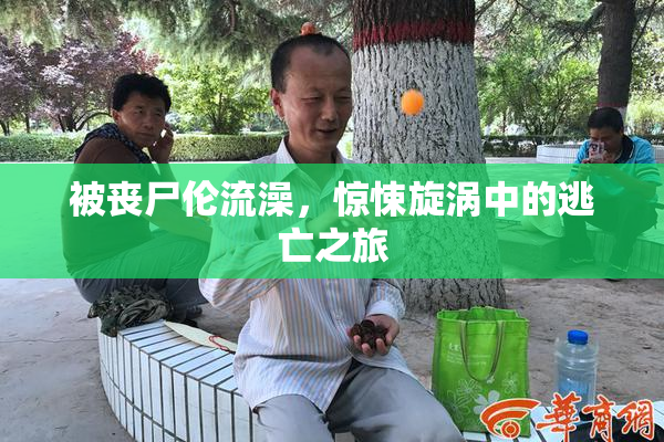 被丧尸伦流澡，惊悚旋涡中的逃亡之旅