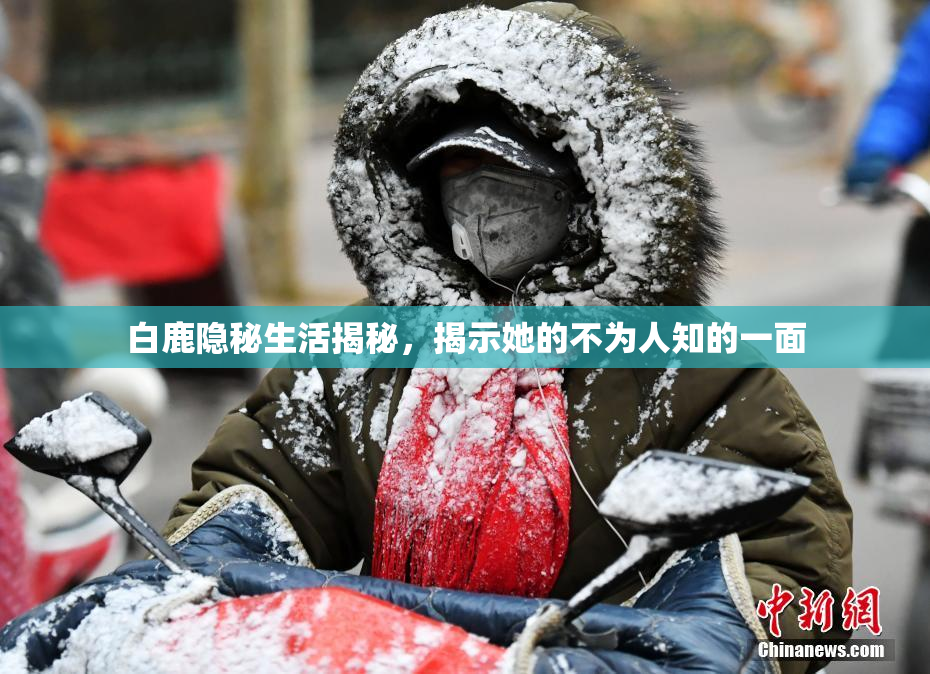 白鹿隐秘生活揭秘，揭示她的不为人知的一面