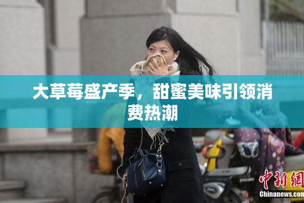 大草莓盛产季，甜蜜美味引领消费热潮