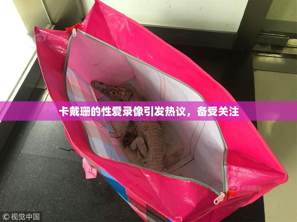卡戴珊的性爱录像引发热议，备受关注