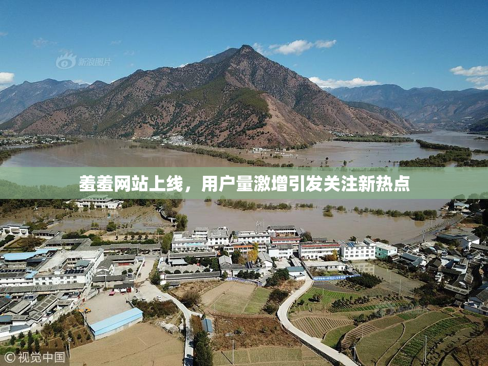 羞羞网站上线，用户量激增引发关注新热点