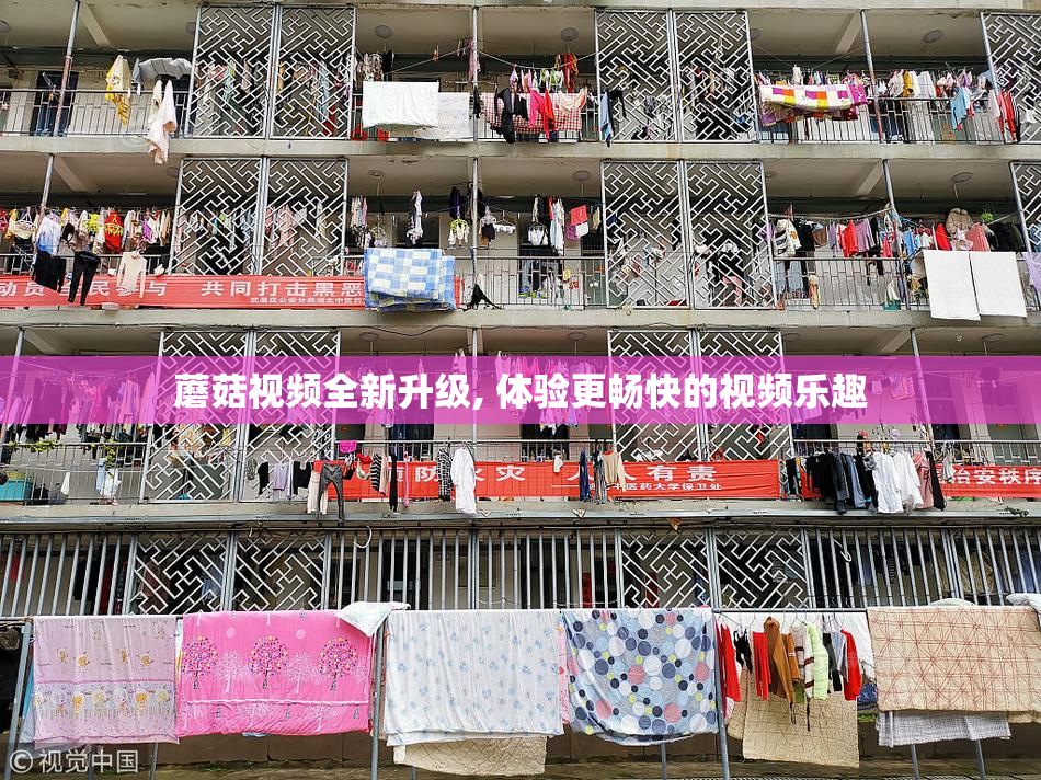 蘑菇视频全新升级, 体验更畅快的视频乐趣
