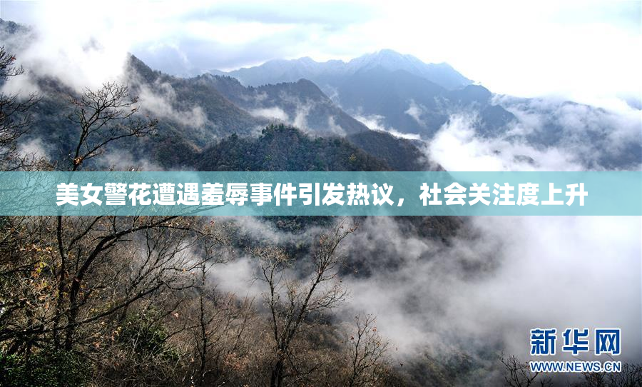 美女警花遭遇羞辱事件引发热议，社会关注度上升
