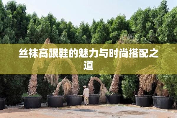 丝袜高跟鞋的魅力与时尚搭配之道