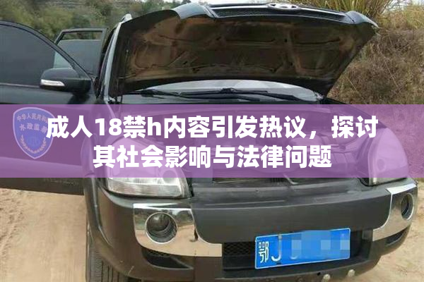 成人18禁h内容引发热议，探讨其社会影响与法律问题