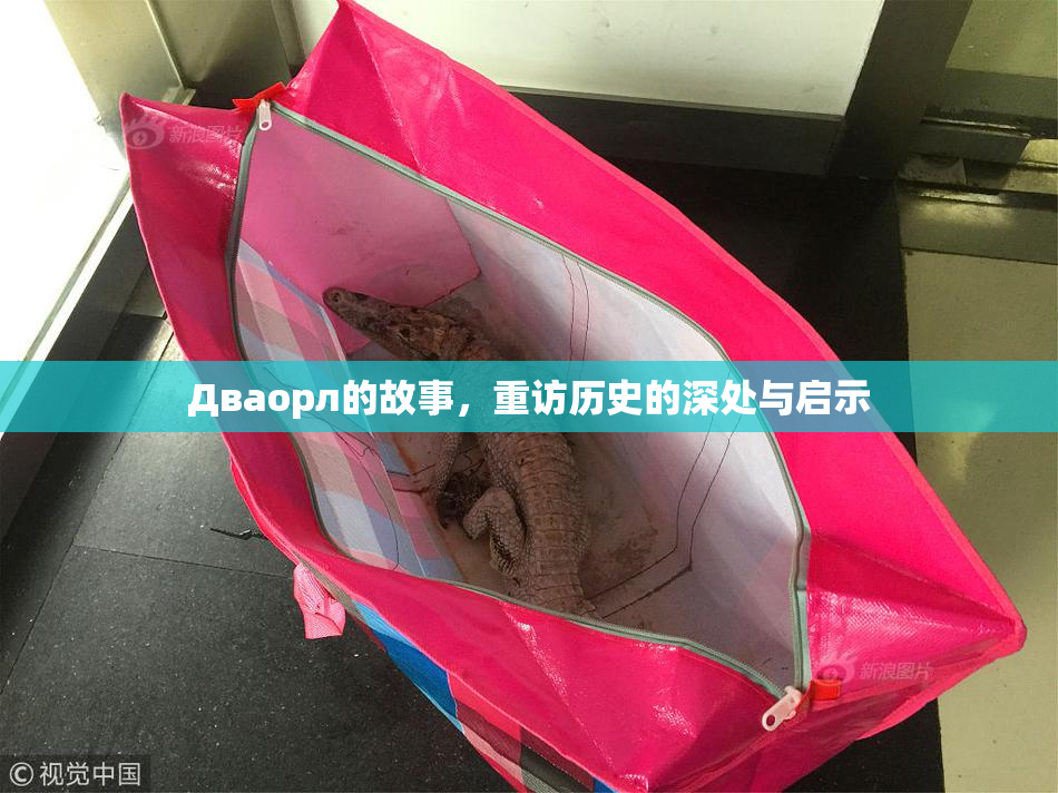 Дваорл的故事，重访历史的深处与启示