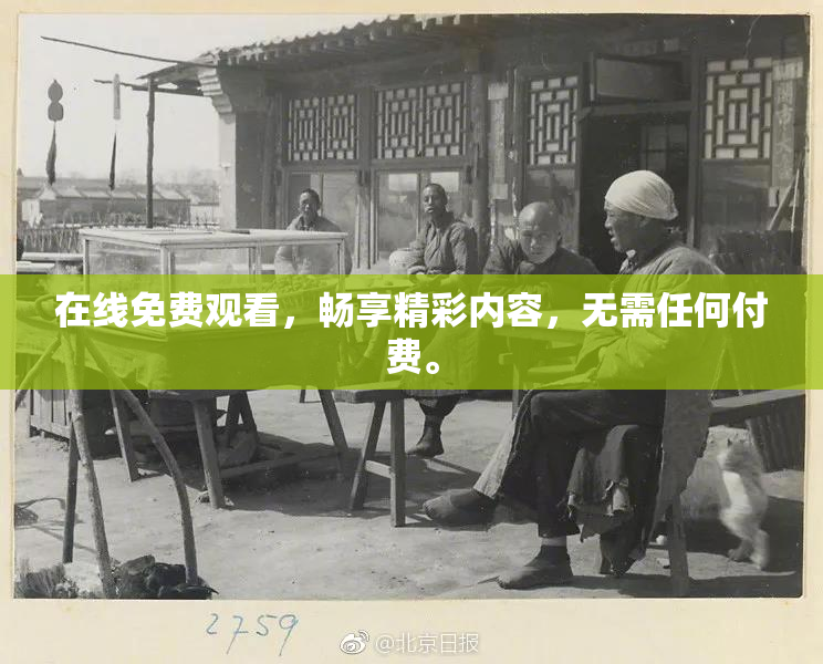 在线免费观看，畅享精彩内容，无需任何付费。