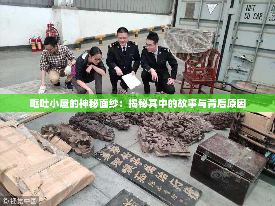 呕吐小屋的神秘面纱：揭秘其中的故事与背后原因