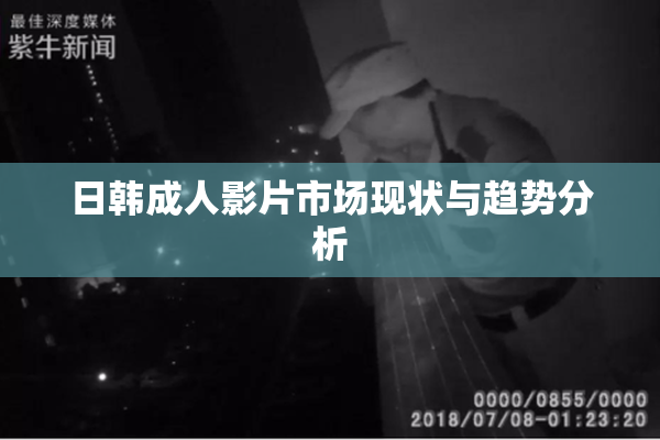 日韩成人影片市场现状与趋势分析