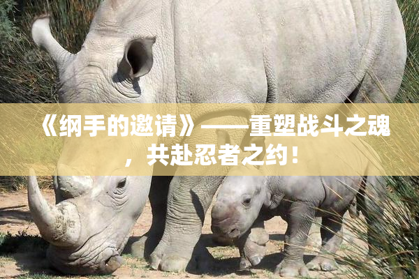 《纲手的邀请》——重塑战斗之魂，共赴忍者之约！