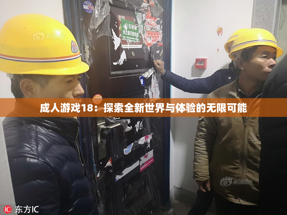 成人游戏18：探索全新世界与体验的无限可能