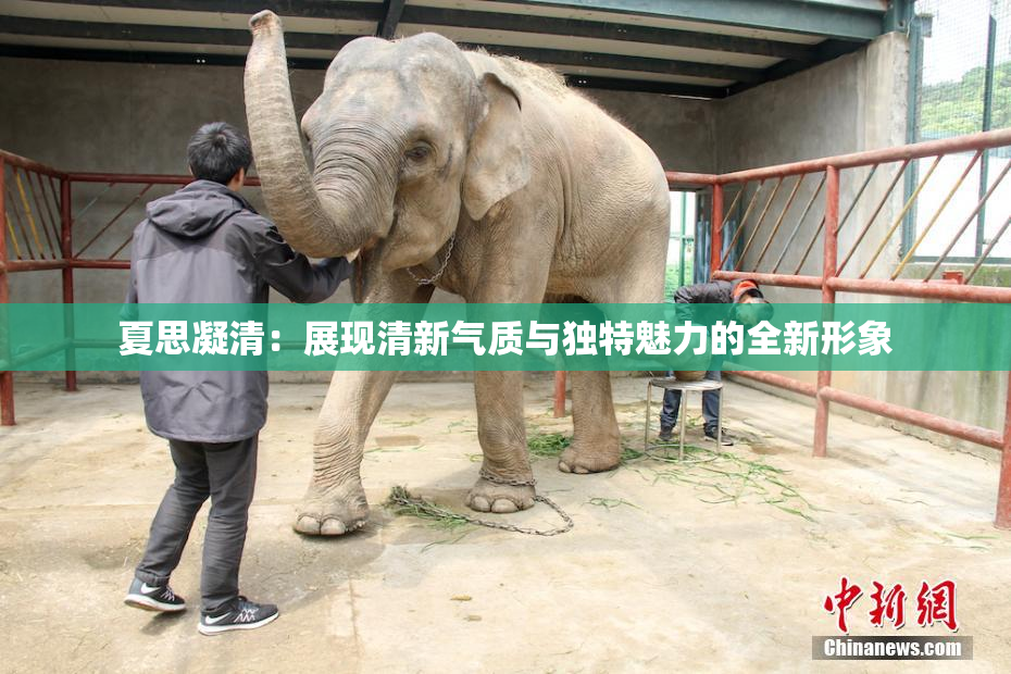 夏思凝清：展现清新气质与独特魅力的全新形象
