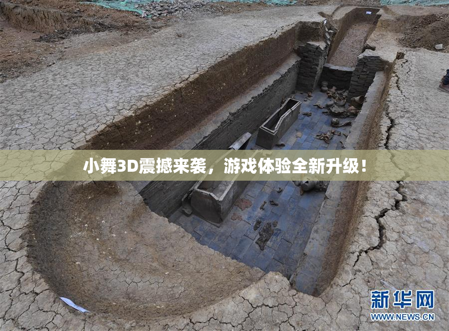 小舞3D震撼来袭，游戏体验全新升级！