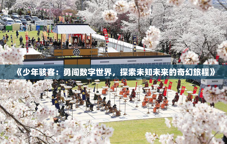 《少年骇客：勇闯数字世界，探索未知未来的奇幻旅程》
