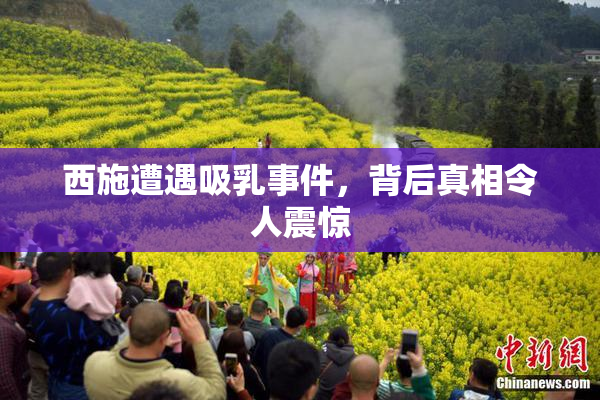 西施遭遇吸乳事件，背后真相令人震惊