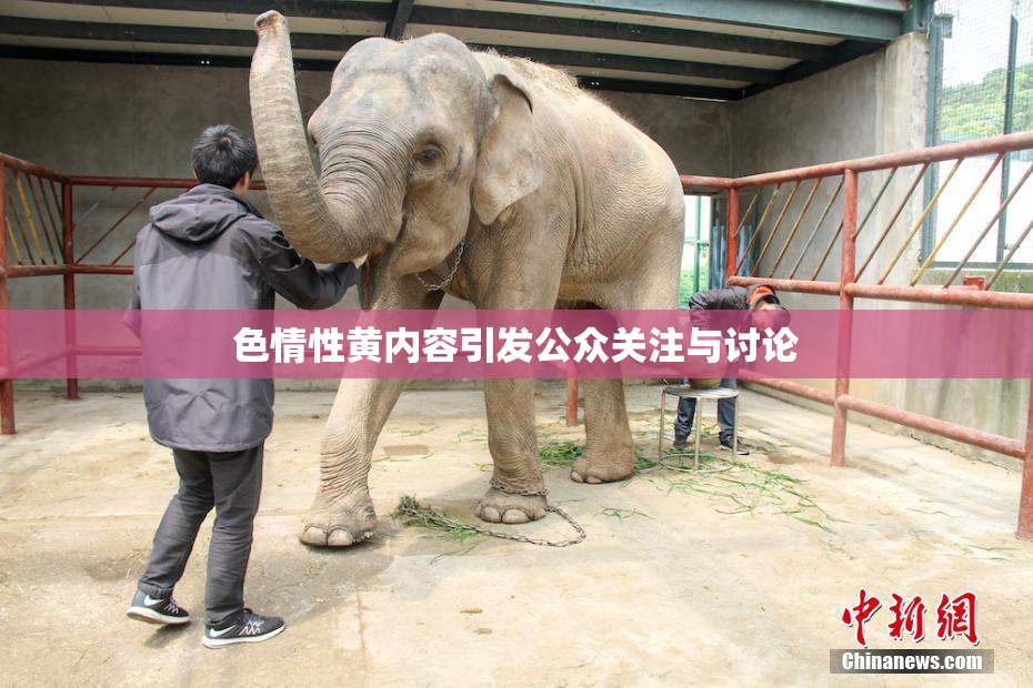 色情性黄内容引发公众关注与讨论