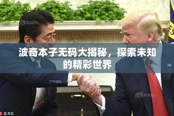 波奇本子无码大揭秘，探索未知的精彩世界