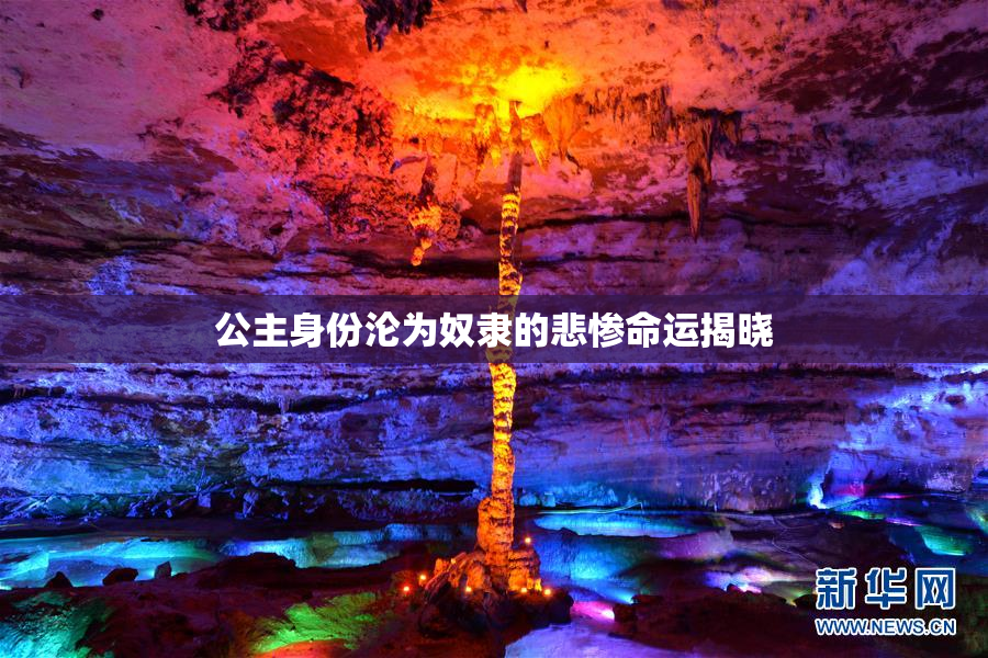 公主身份沦为奴隶的悲惨命运揭晓