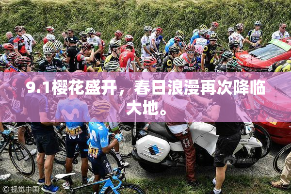 9.1樱花盛开，春日浪漫再次降临大地。