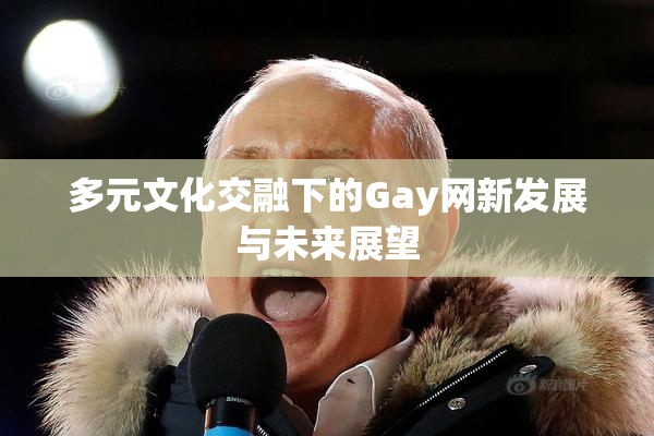 多元文化交融下的Gay网新发展与未来展望