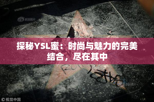 探秘YSL蜜：时尚与魅力的完美结合，尽在其中
