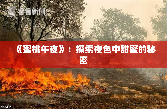 《蜜桃午夜》：探索夜色中甜蜜的秘密