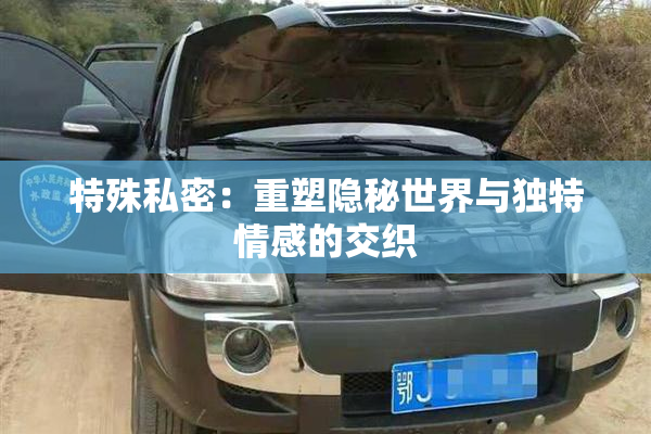 特殊私密：重塑隐秘世界与独特情感的交织