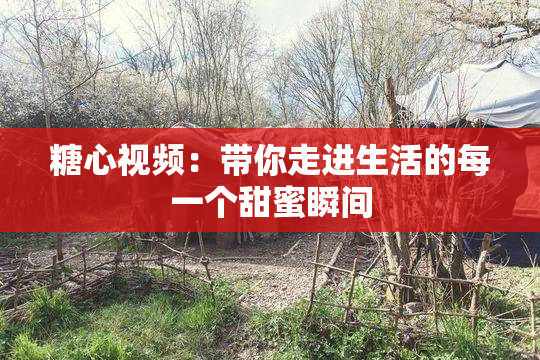 糖心视频：带你走进生活的每一个甜蜜瞬间