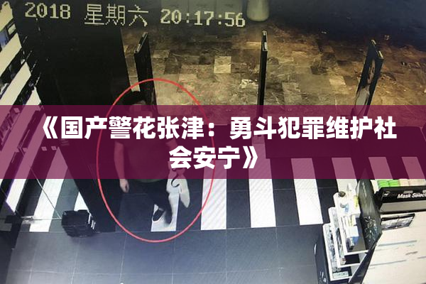 《国产警花张津：勇斗犯罪维护社会安宁》