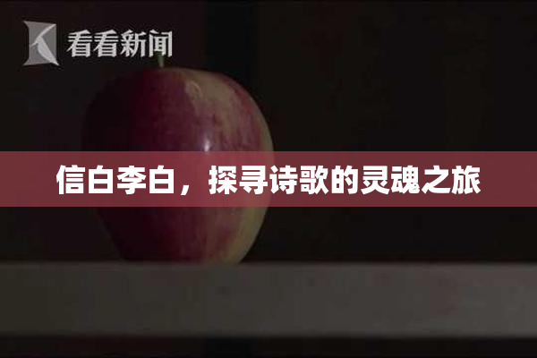 信白李白，探寻诗歌的灵魂之旅