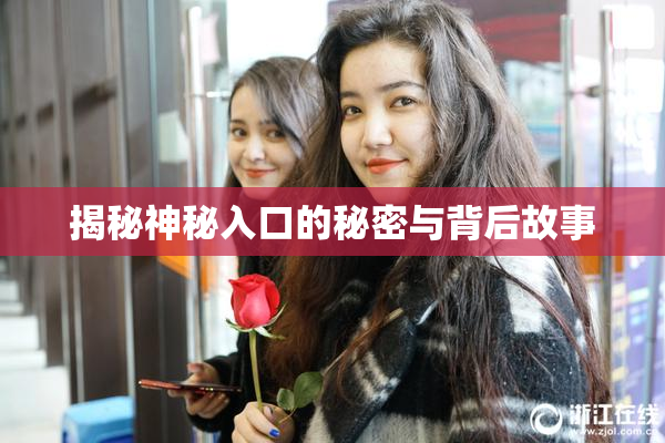 揭秘神秘入口的秘密与背后故事