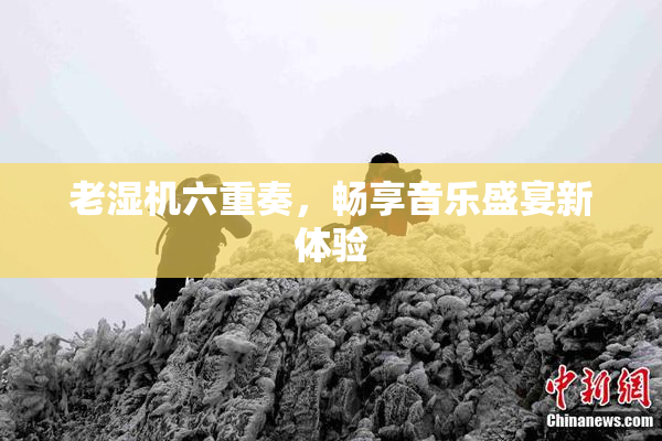 老湿机六重奏，畅享音乐盛宴新体验