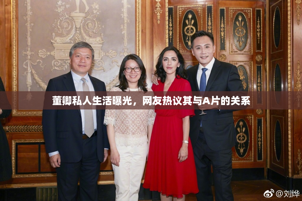 董卿私人生活曝光，网友热议其与A片的关系