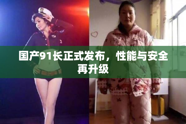 国产91长正式发布，性能与安全再升级