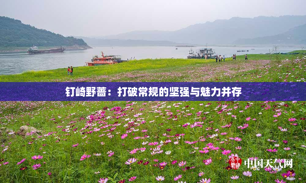 钉崎野蔷：打破常规的坚强与魅力并存