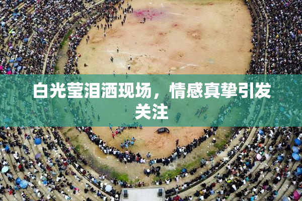 白光莹泪洒现场，情感真挚引发关注