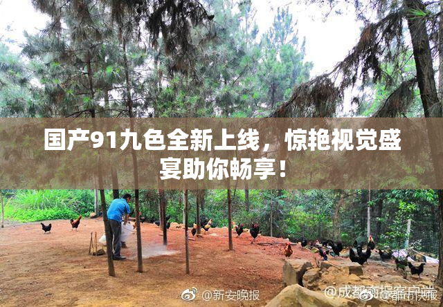国产91九色全新上线，惊艳视觉盛宴助你畅享！