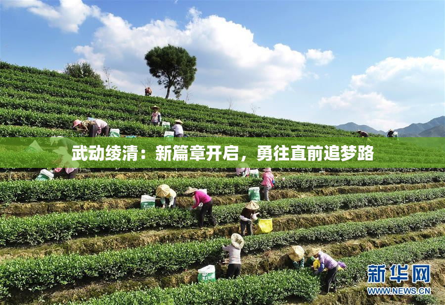 武动绫清：新篇章开启，勇往直前追梦路