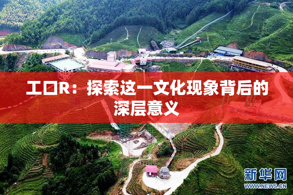 工口R：探索这一文化现象背后的深层意义