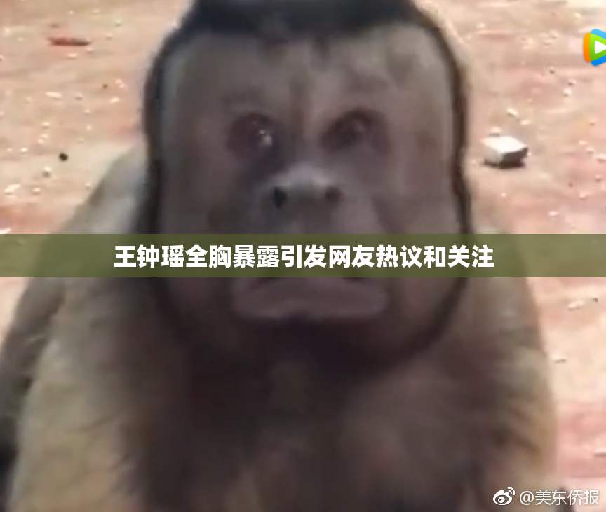 王钟瑶全胸暴露引发网友热议和关注