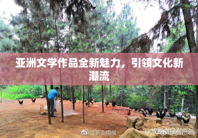 亚洲文学作品全新魅力，引领文化新潮流