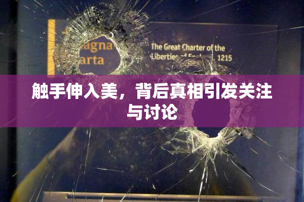 触手伸入美，背后真相引发关注与讨论