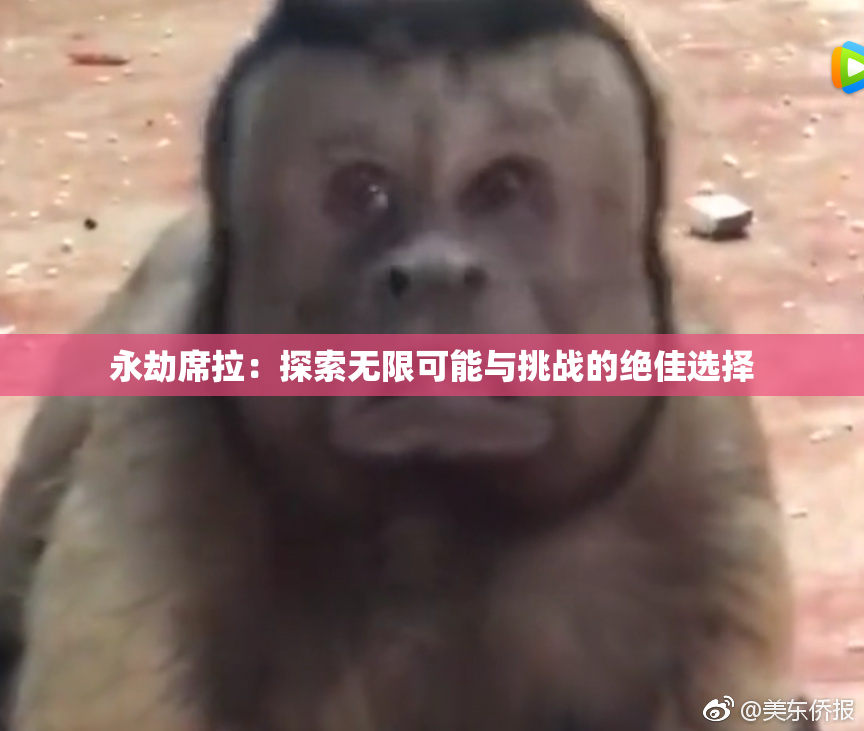 永劫席拉：探索无限可能与挑战的绝佳选择