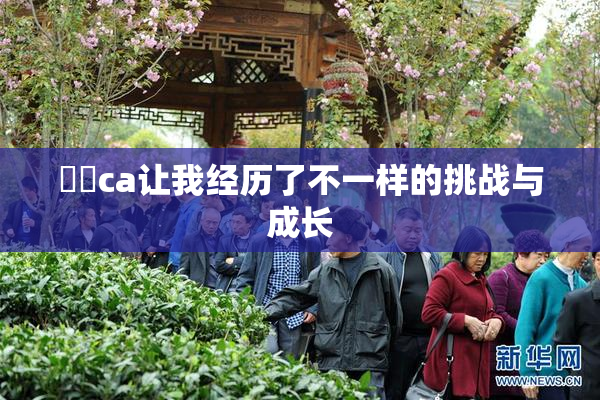 妺妺ca让我经历了不一样的挑战与成长